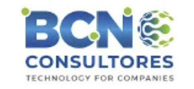 Bcn Consultores